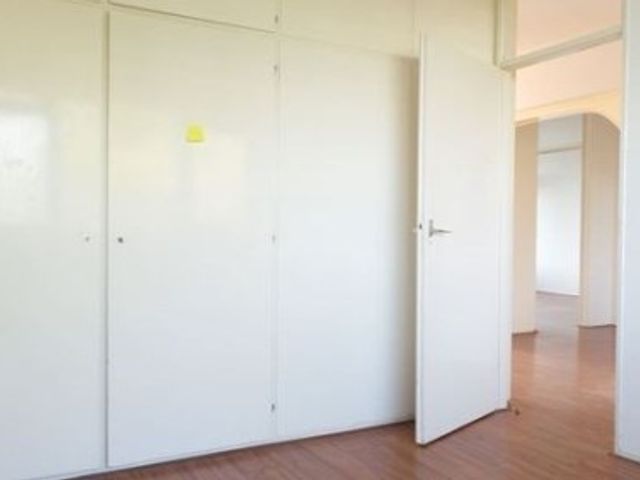 Milanenhorst ONG, Leiden