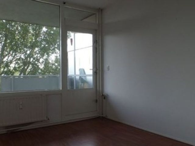 Milanenhorst ONG, Leiden