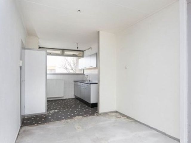 Meijhorst ONG, Nijmegen