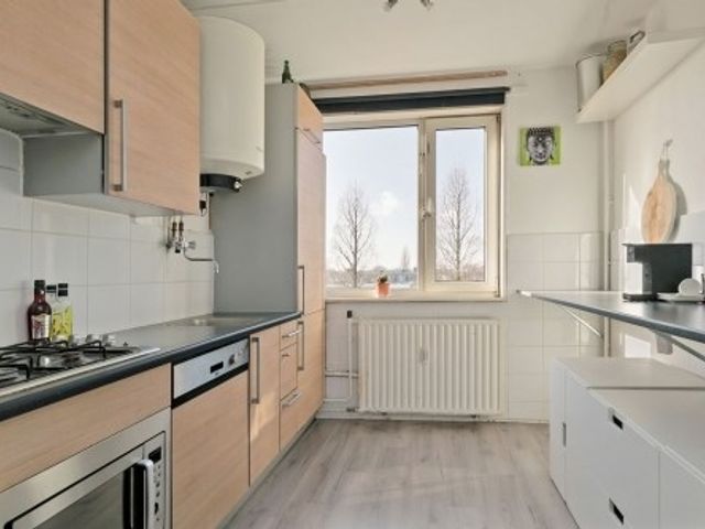 Professor Poelslaan ONG, Rotterdam