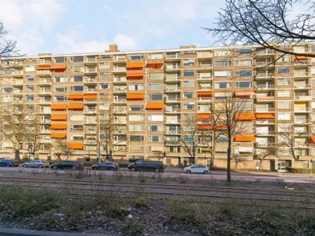 Molenvliet ONG, Rotterdam