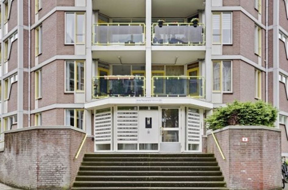 Anna Paulownahof ONG