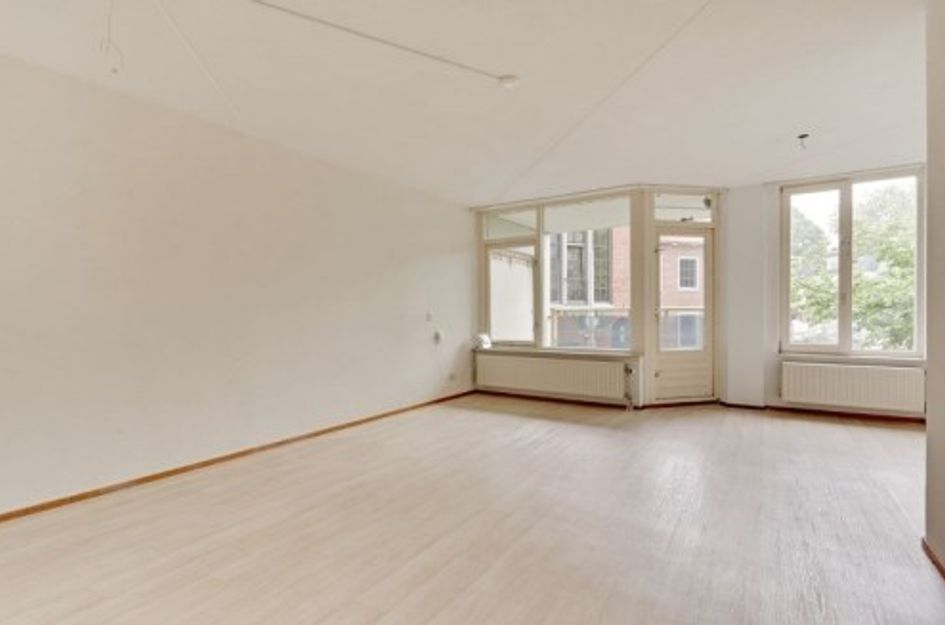 Anna Paulownahof ONG