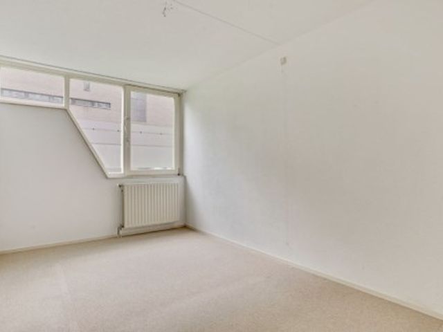 Anna Paulownahof ONG, Tilburg