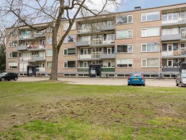 Europalaan ONG, Tilburg