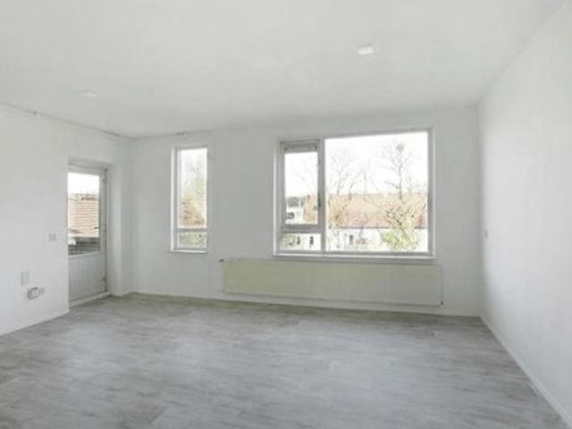 Jungfrau ONG, Utrecht