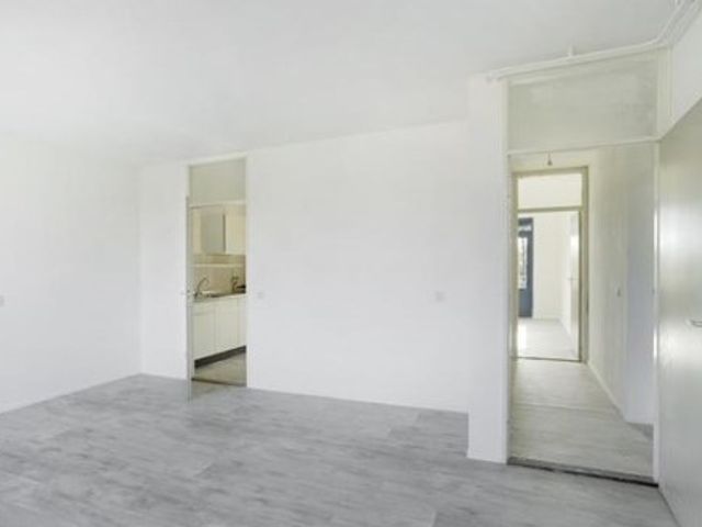 Jungfrau ONG, Utrecht