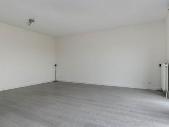 Teakhout ONG, Zaandam