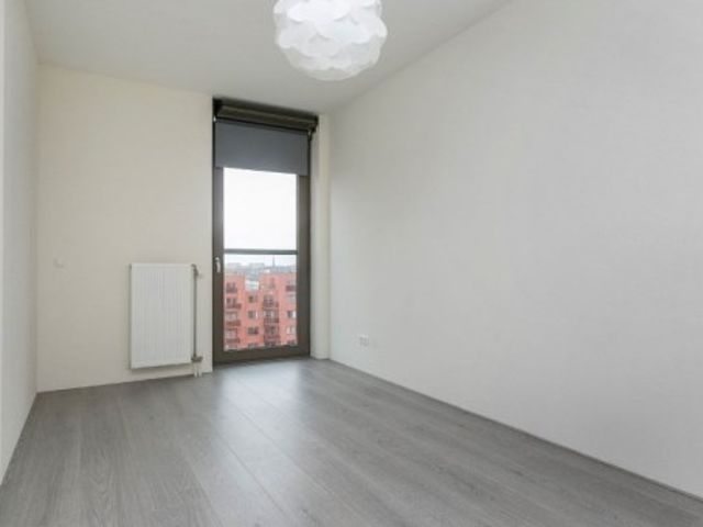 Teakhout ONG, Zaandam