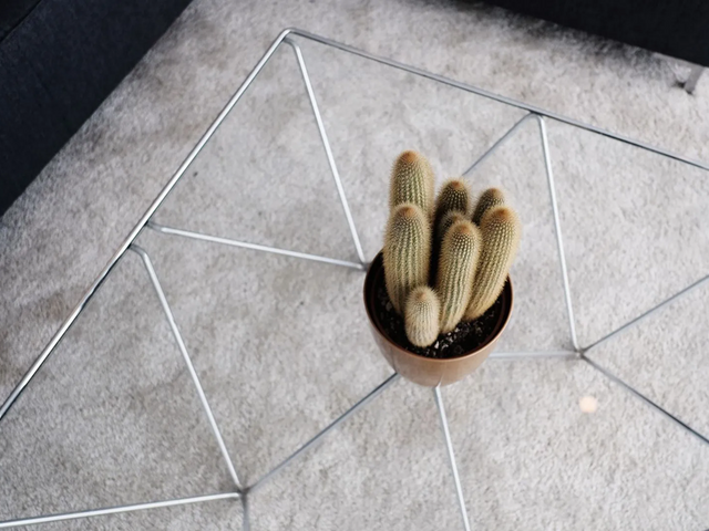 Coolhaven 164B, Rotterdam