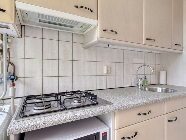 Eduard van Beinumstraat 39, Leiden