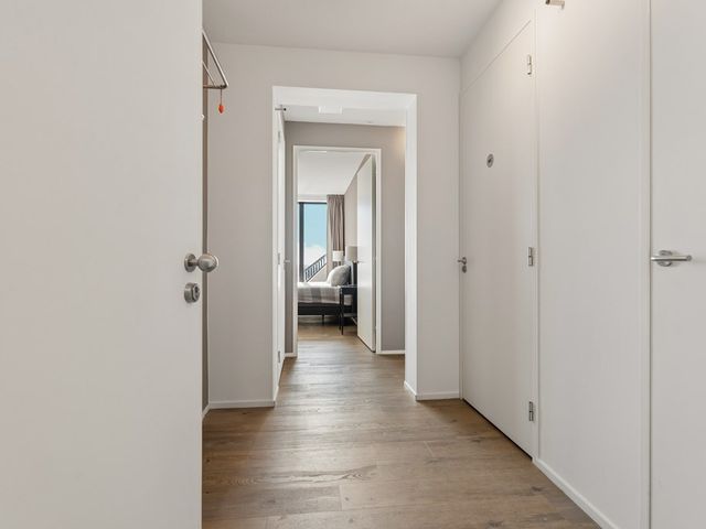 Anna van Buerenplein 272, 's-Gravenhage