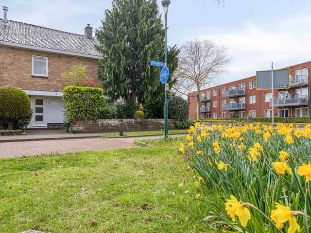 Dillewijnen 2, Veenendaal