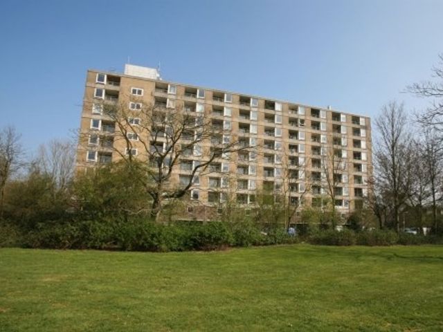 Trekvogelweg , Amersfoort