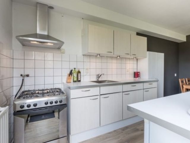 Bogortuin , Amsterdam