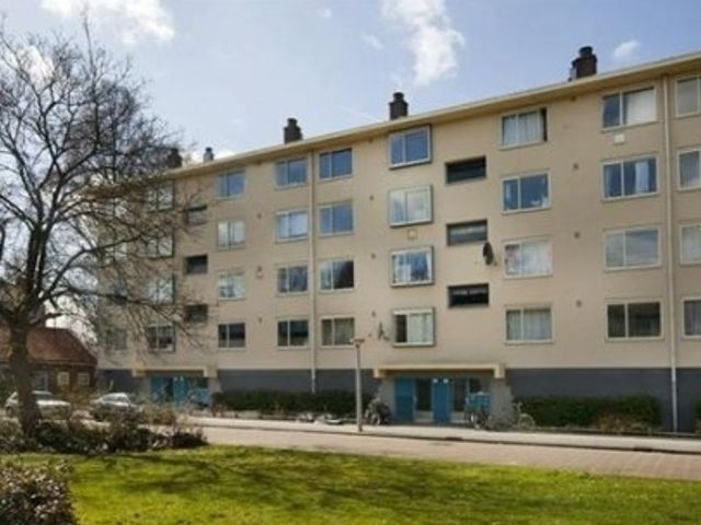 Petrus Blokhof , Amsterdam