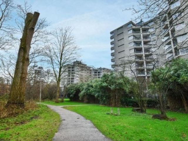 Groenhoven , Amsterdam