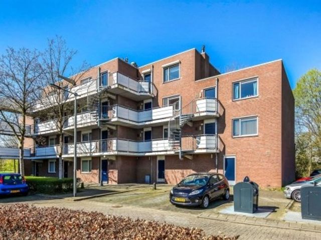 Terneuzenstraat , Arnhem