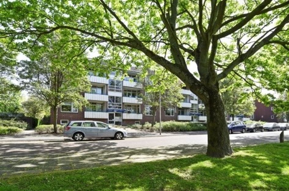 W.H. van Leeuwenlaan 