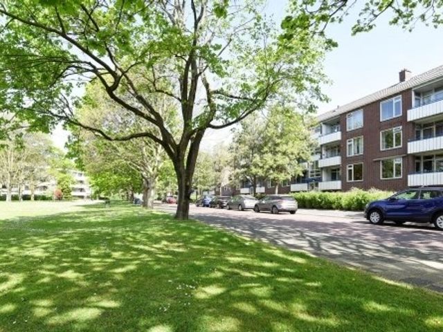 W.H. van Leeuwenlaan , Delft