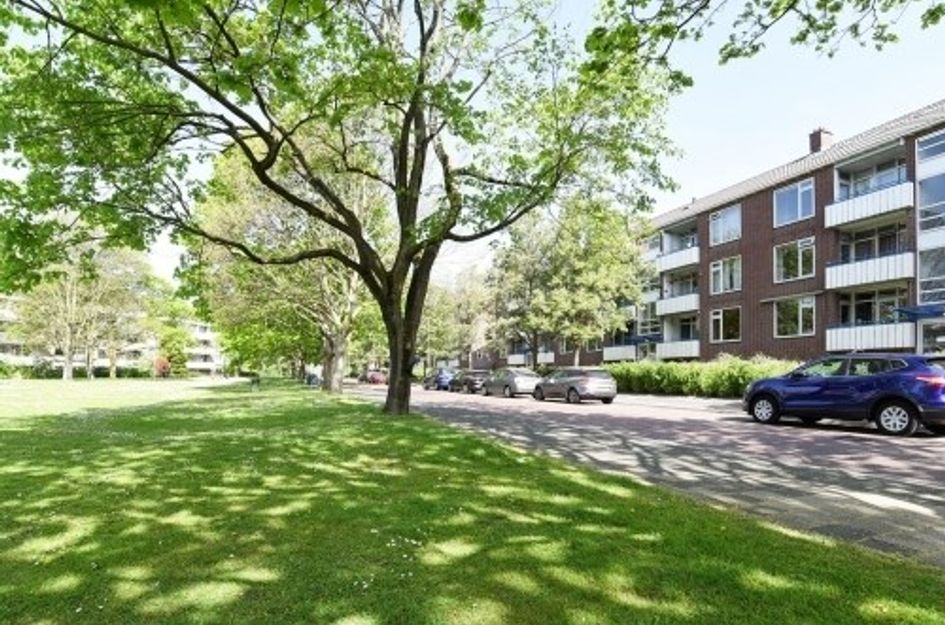 W.H. van Leeuwenlaan 