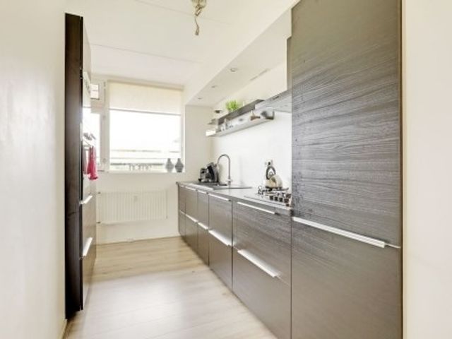 Forellendaal , Den Haag