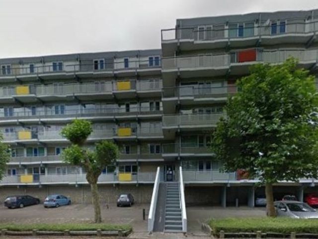 Forellendaal , Den Haag