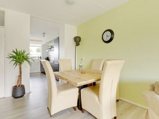 Forellendaal , Den Haag