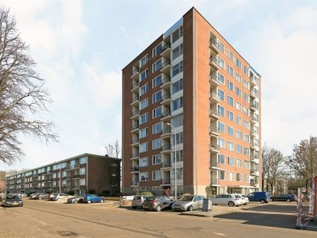 Pisanostraat , Eindhoven