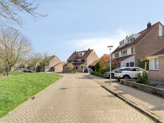 Ceder 22, Hoorn