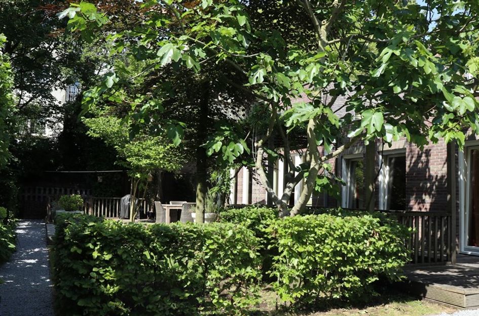 Leimuidenstraat 11huis