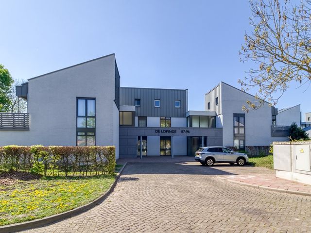 De Lopinge 87, Cadzand