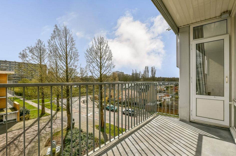 Oostelijk Halfrond 85