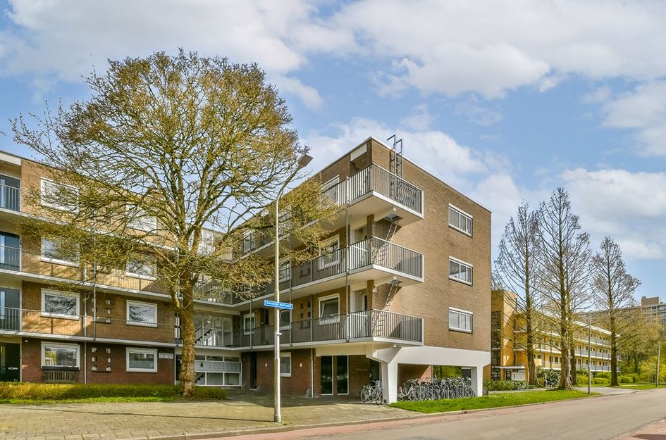 Oostelijk Halfrond 85