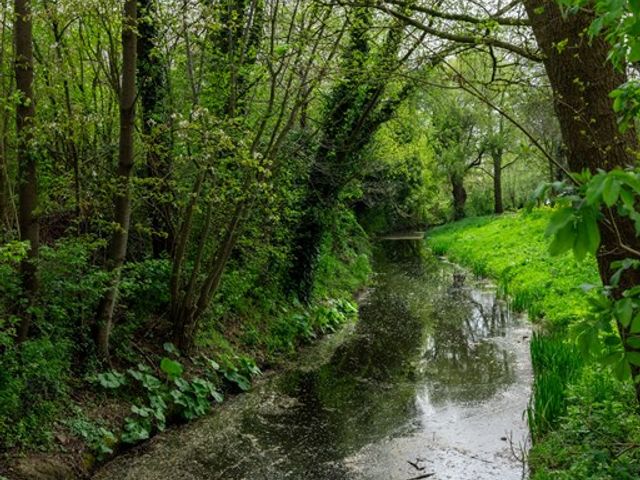 Weislag 12, 's-Hertogenbosch