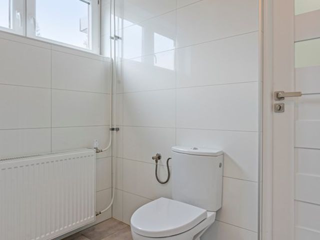 Rapenburg 106A, Vogelwaarde