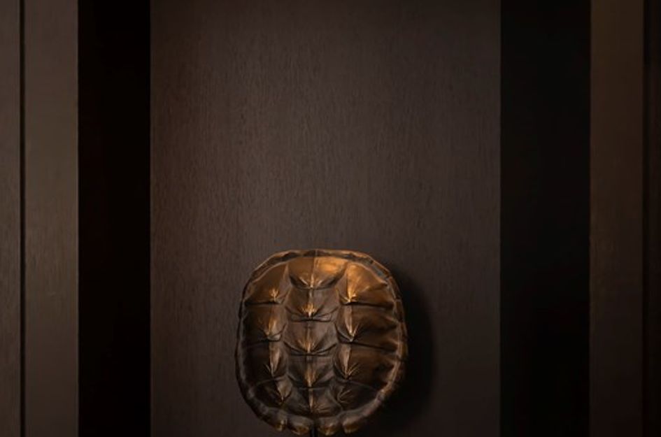 dr. Henriette Boasstraat 19