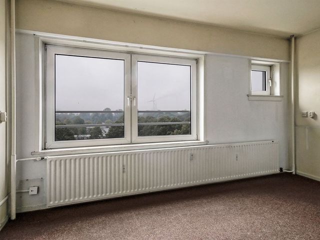 Dierenriem , Amsterdam