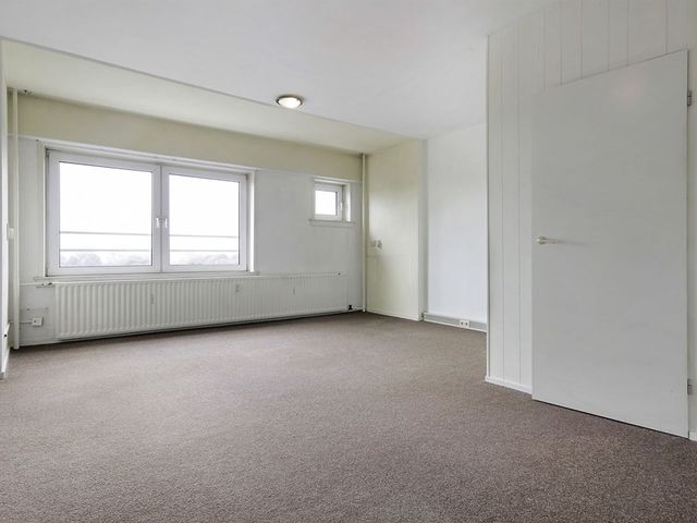 Dierenriem , Amsterdam