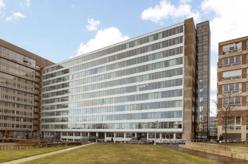 Bos en Lommerplantsoen 