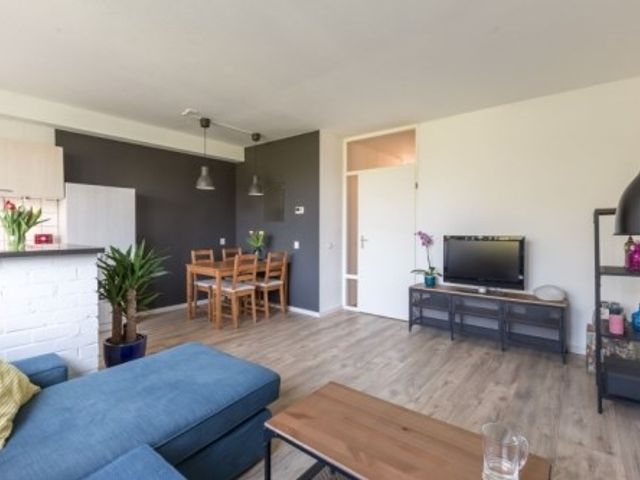 Bogortuin , Amsterdam