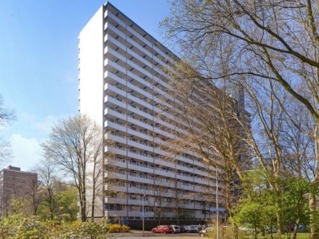 Menno Ter Braaklaan , Delft