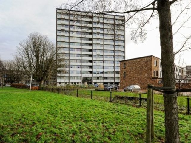 Roggekamp ONG, 's-Gravenhage