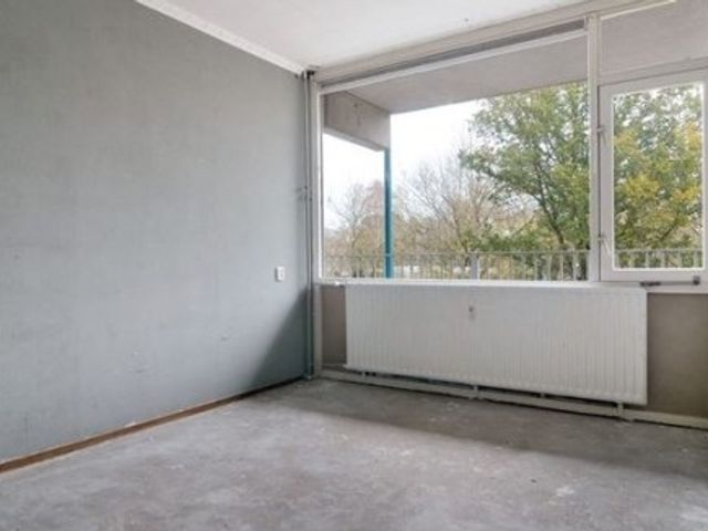 Brammershoop ONG, Haarlem