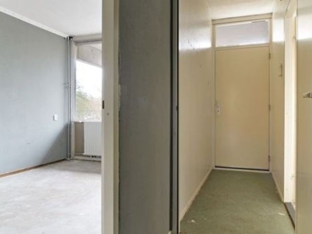 Brammershoop ONG, Haarlem