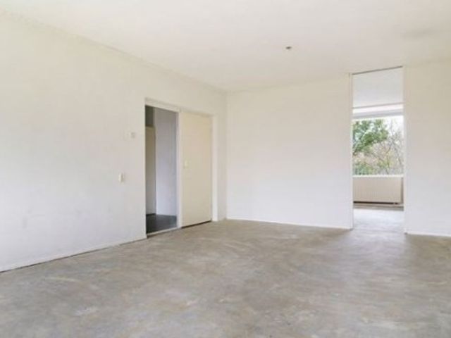 Brammershoop ONG, Haarlem