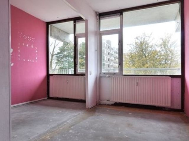 Brammershoop ONG, Haarlem