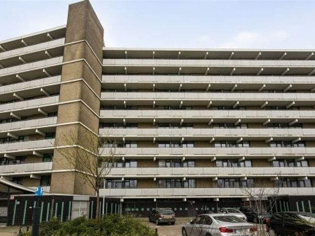 Cruquiuslaan ONG, Leiden