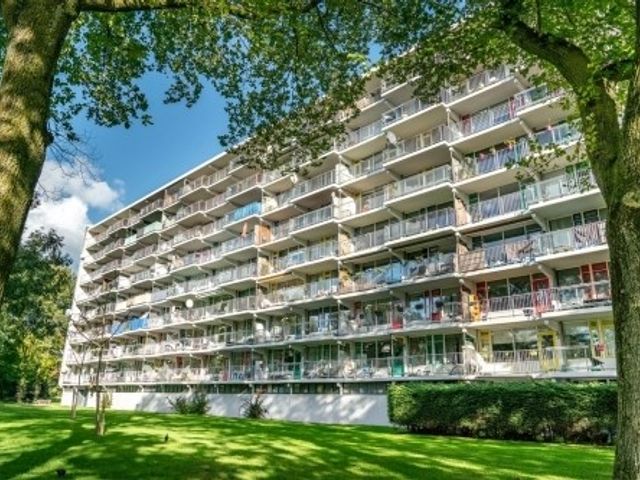 Zijldonk ONG, Leiden