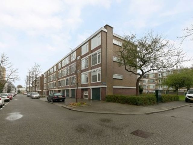 Bredevoorde ONG, Rotterdam